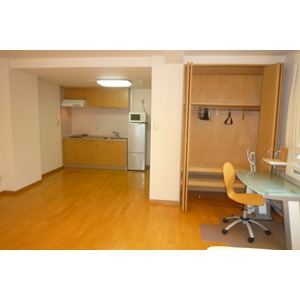 Living and room. Furniture, etc. are not accompanied.