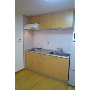 Kitchen. Furniture, etc. are not accompanied.