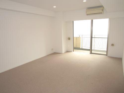 Living and room. Living