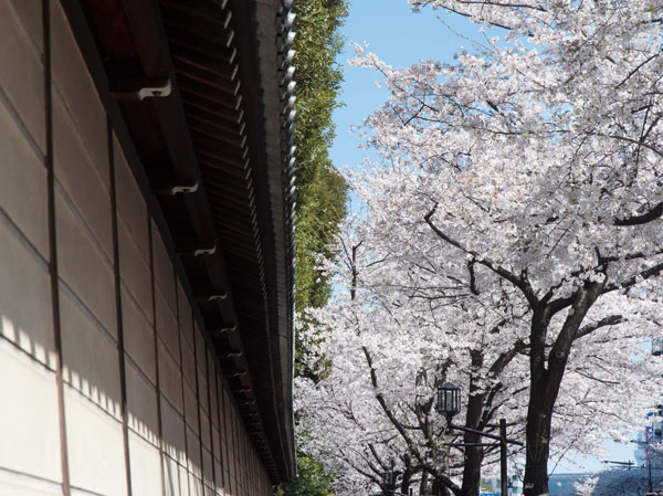 Surrounding environment. Yasukuni Street (about than local 680m)