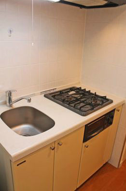 Kitchen. 2 lot gas stoves of the system kitchen