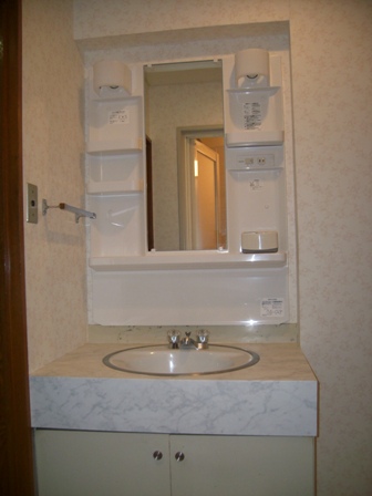 Washroom. Wash basin