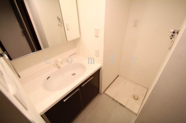 Washroom. Shampoo dresser type