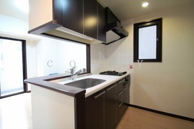 Kitchen. Popular counter kitchen