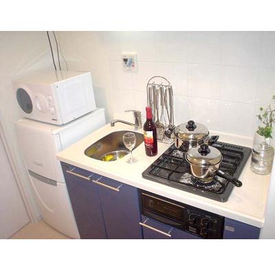 Kitchen. 2 lot gas stoves of the system kitchen with grill