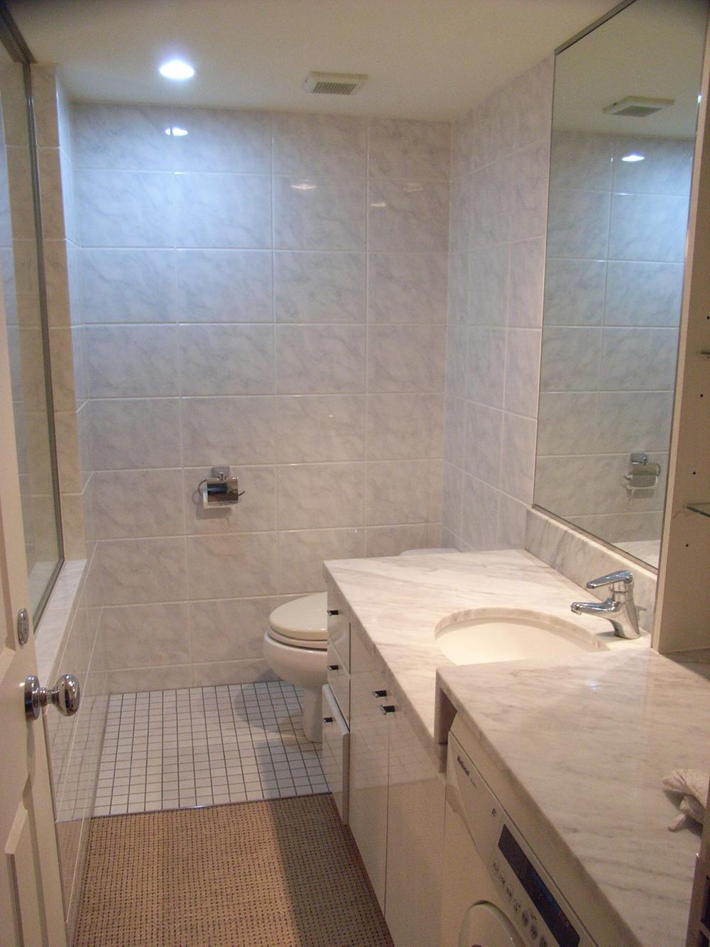 Wash basin, toilet. Indoor (February 2013) Shooting