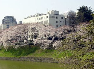 Hospital. 380m to Kudan hill hospital (hospital)