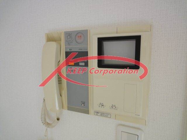 Security. Intercom with TV monitor