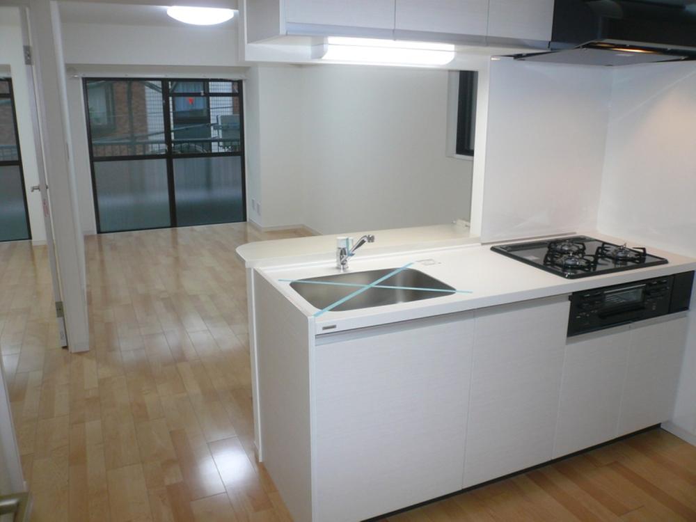 Kitchen. Indoor (11 May 2013) Shooting