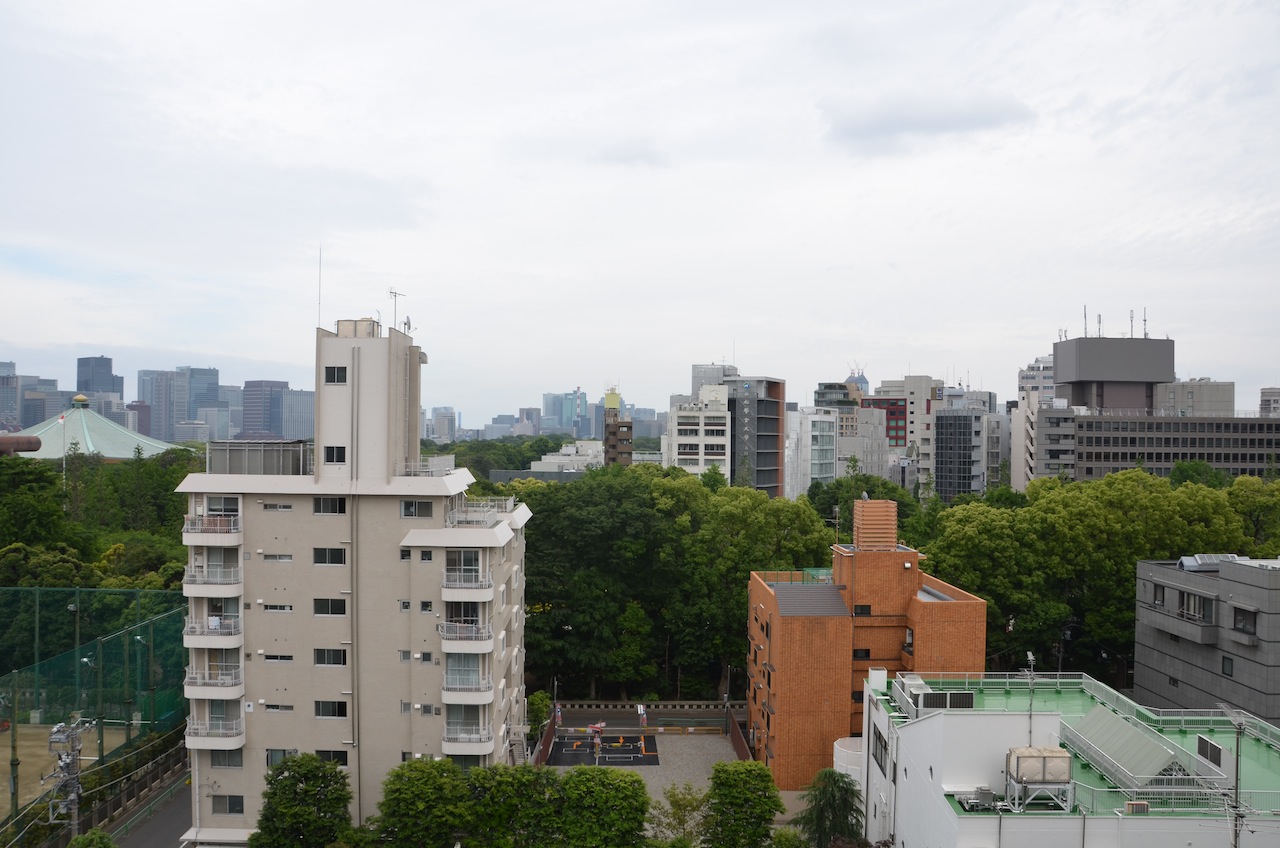 View. South-facing view Nippon Budokan, Kitanomaru Park, Views Marunouchi of night view
