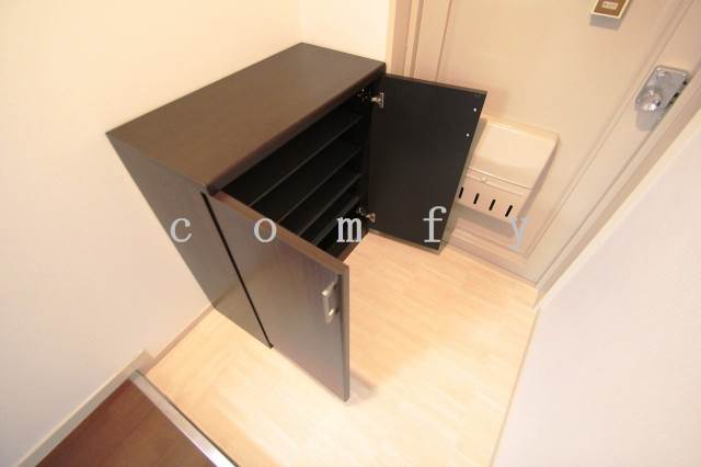 Entrance. New shoes BOX