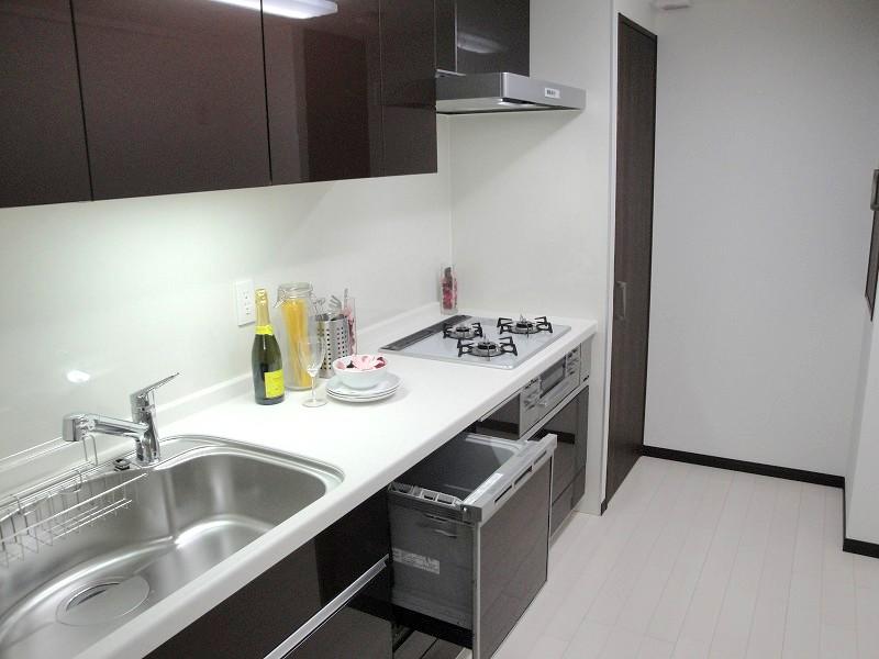 Kitchen. Built-in dish washing dryer
