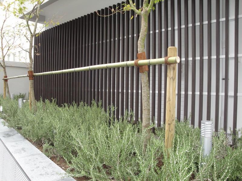 Other common areas. Planting next to Entrance