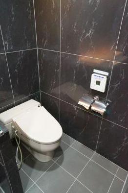 Toilet. Another type reference photograph