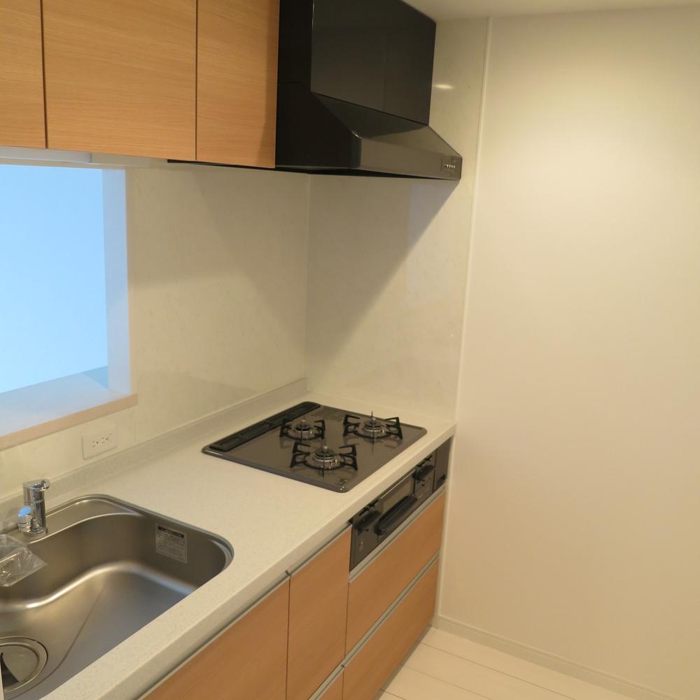 Kitchen. Interior (September 2013) Shooting Face-to-face system Kitchen