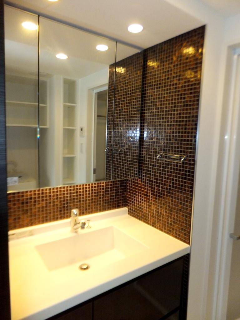 Wash basin, toilet. Indoor (July 2013) Shooting