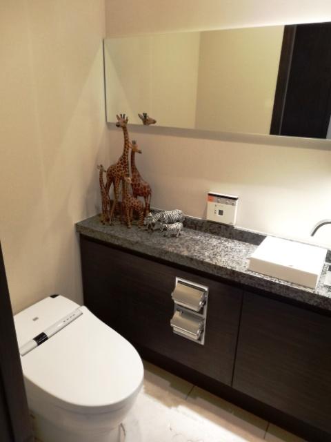 Toilet. Indoor (September 2013) Shooting