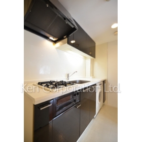 Kitchen. Shoot the same type the third floor of the room. Specifications may be different.