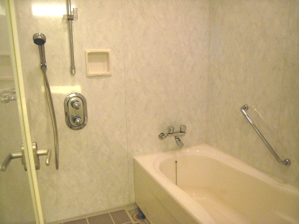 Bath. Bathroom is a Western-style, Washing place There are also properly.