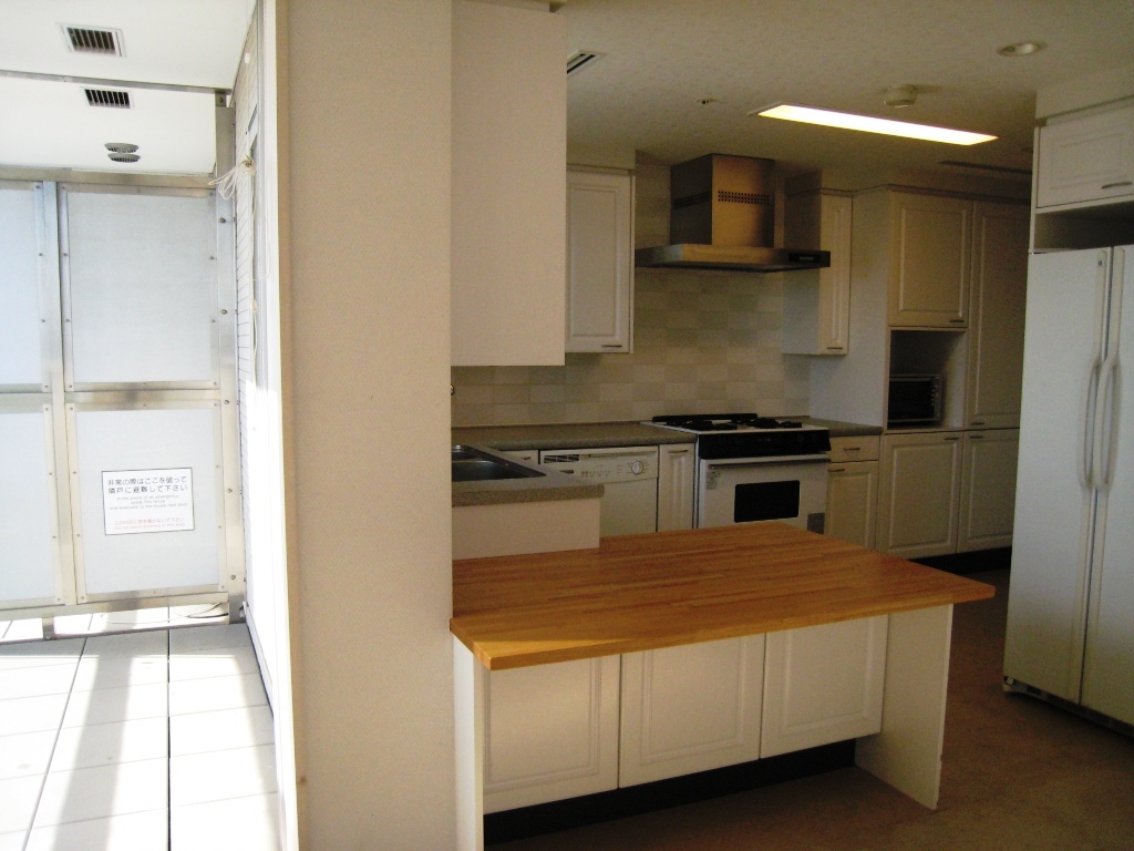 Kitchen. Another balcony next to the kitchen.