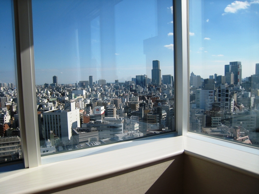 View. This is the view from the south-facing angle room living.