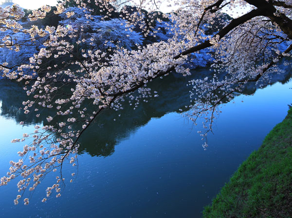 Surrounding environment. Chidorigafuchi (about 650m / A 9-minute walk)
