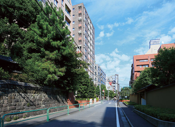 Bancho central street (about 220m)