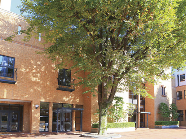 Joshigakuin High School ・ Junior high school (about 70m)