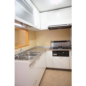 Kitchen. With dish dryer