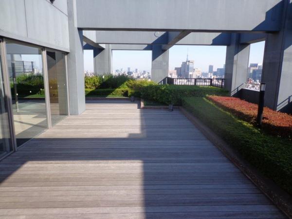 Other common areas. Rooftop garden