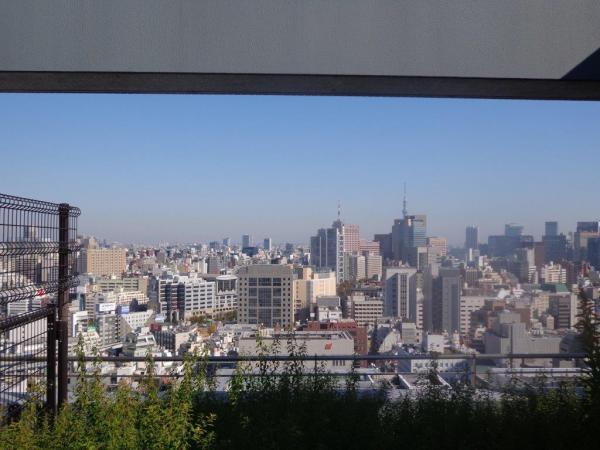 View photos from the dwelling unit. The view from the rooftop garden