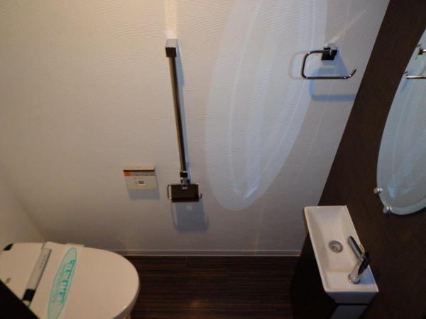 Toilet. High-function toilet