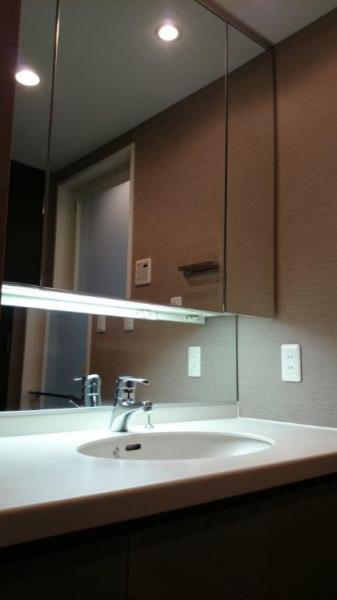 Wash basin, toilet. Large washbasin