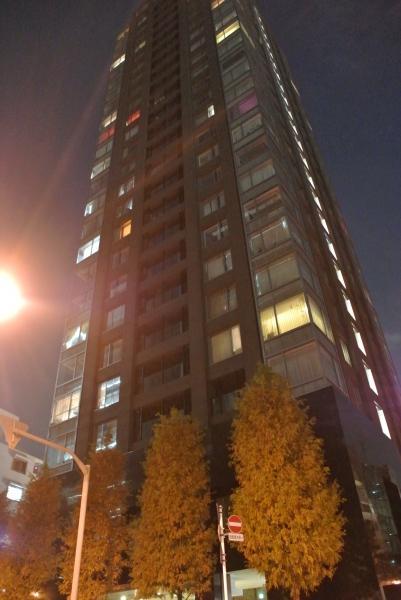 Local appearance photo. Tower Mansion