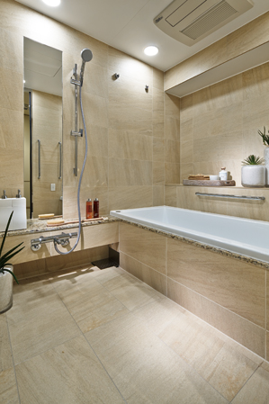 Interior. Bathroom (85A type)