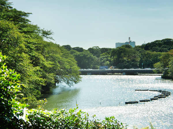 Surrounding environment. Chidorigafuchi green road (4-minute walk ・ About 280m)