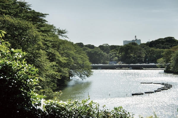 Chidorigafuchi ※ Summer of Jing (4-minute walk ・ About 280m) is shrouded in green mature trees refresh