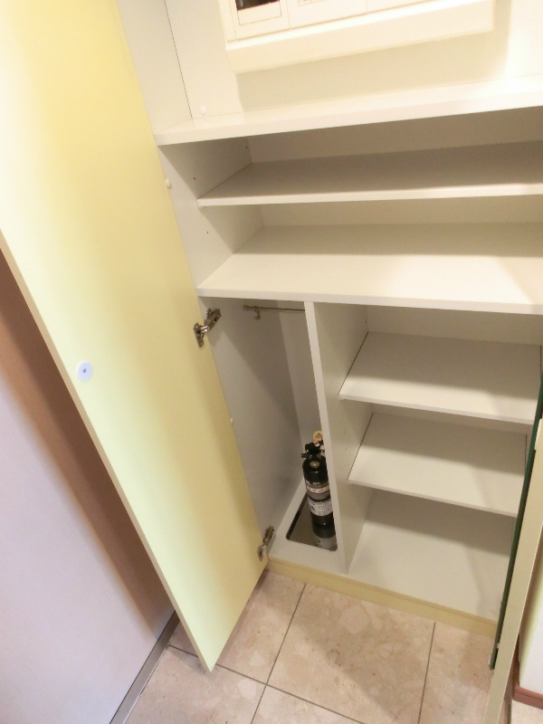 Entrance. Full-length mirror with cupboard