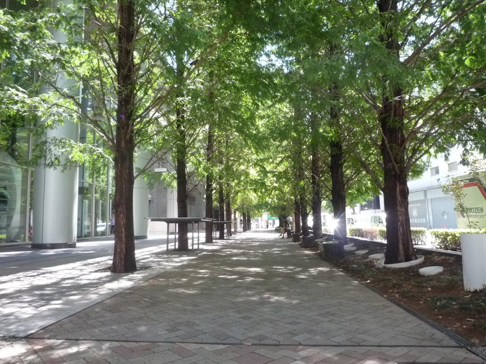 Streets around. Green road front