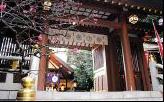 Other Environmental Photo. Tokyo Daijingu to 350m