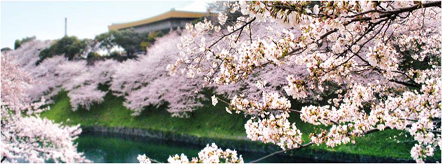 Other. History alive Nestled in the corner of the "Chiyoda-ku," "City Tower Kudanshita". Life base for life-friendliness of the city functions and everyday fused. (Photo cherry Ushikefuchi / 8 min. Walk ・ About 580m )