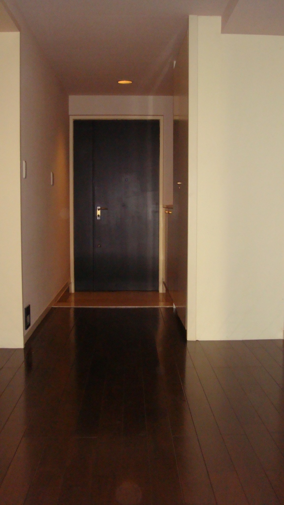 Entrance. Overlooking the entrance direction from the hallway.