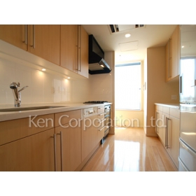 Kitchen. Shoot the same type 19th floor of the room. Specifications may be different.