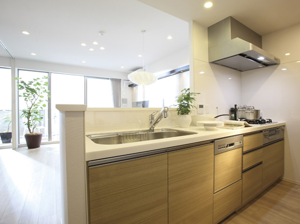 Kitchen.  [kitchen] Kitchen stuck to the quality of that cleanliness.