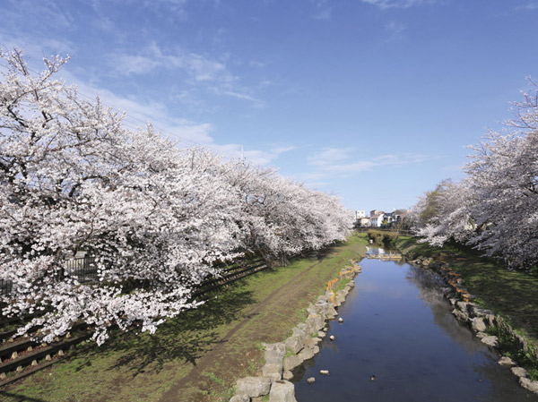 Surrounding environment. Nogawa (about 1120m ・ A 14-minute walk)