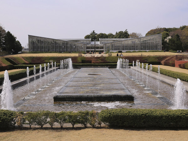Surrounding environment. Jindai Botanical Park (about 2140m)