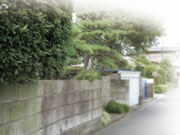 Local neighborhood streets (about 80m)