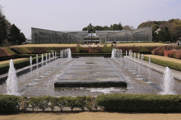To Jindai Botanical Park remnants of Musashino is felt is, About 4800 species of trees have been planted. It rose garden ・ Azalea Gardens ・ Plum Garden, etc., It is divided into blocks for each type of plant, While enjoying the beautiful scenery of the four seasons, Also obtained knowledge of the plant (the bicycle about 11 minutes / About 2140m)