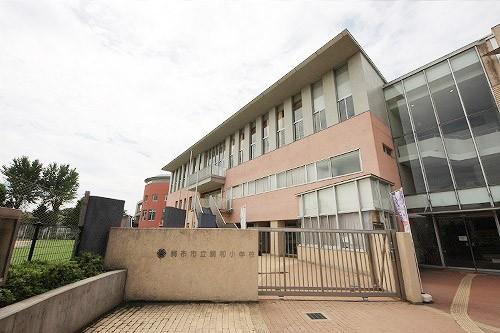 Primary school. Harmony Elementary School