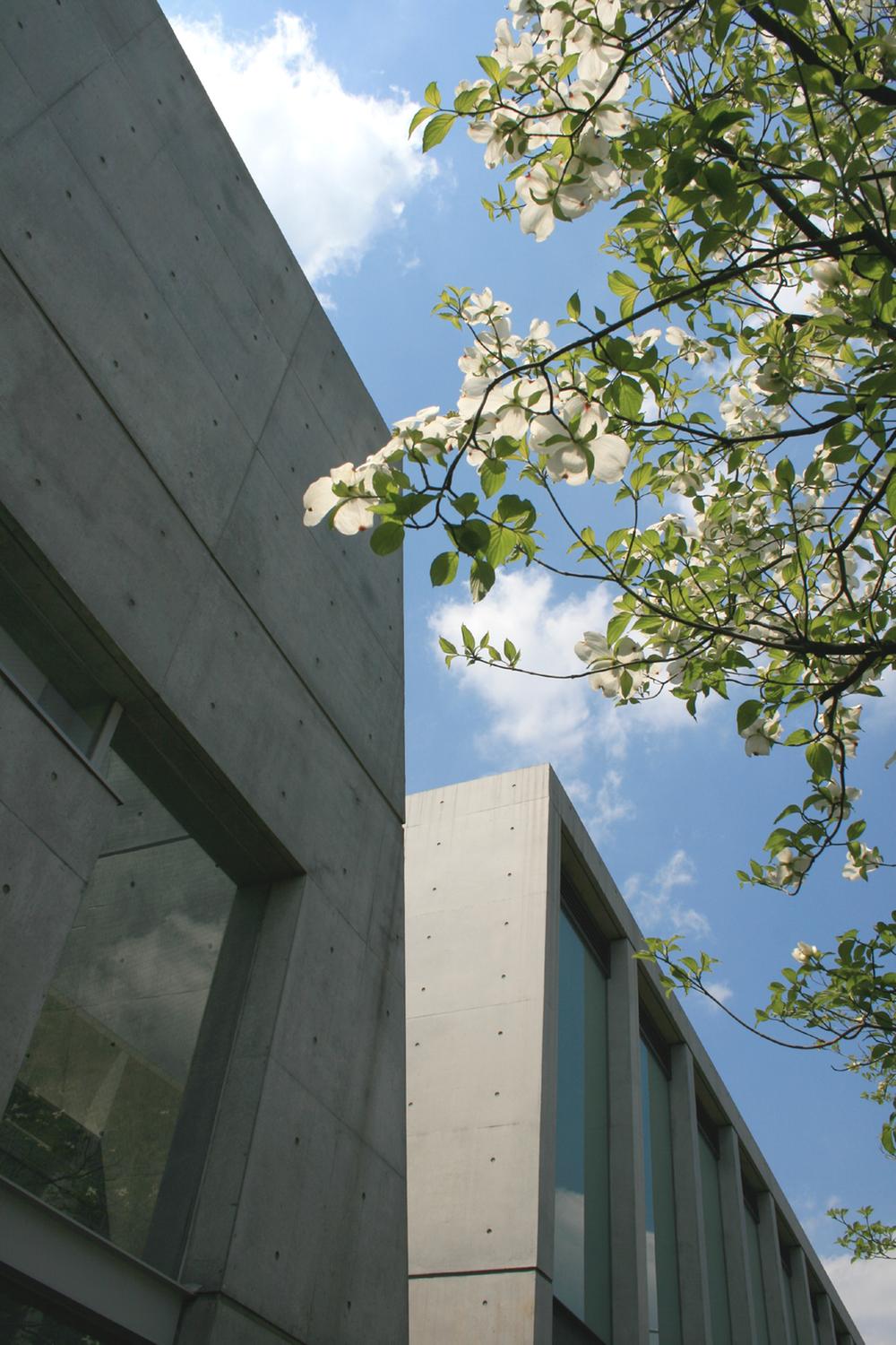 Other Environmental Photo. 1560m to Tokyo Art Museum